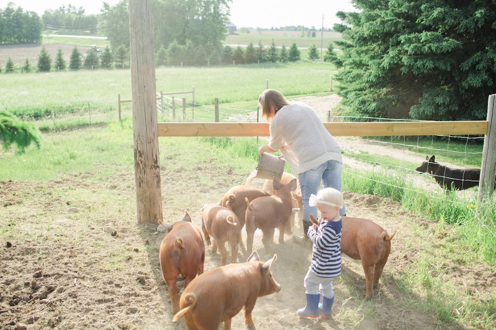 Greener Pastures Eco Farm | 774766 Oxford Rd 14, Woodstock, ON N4S 7W3, Canada | Phone: (226) 377-1011