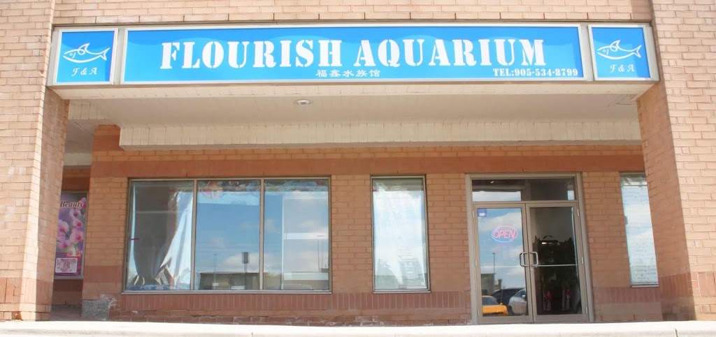 Flourish Aquarium | 9255 Woodbine Ave Unit B-7B, Markham, ON L6C 1Y9, Canada | Phone: (905) 534-8799