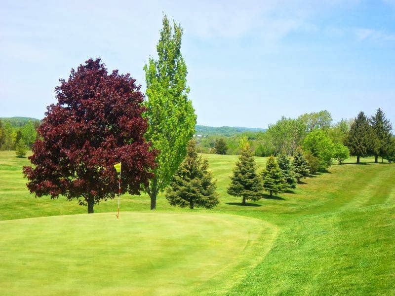 Trenton Golf Club | King St, 292 King St, Trenton, ON K8V 5W6, Canada | Phone: (613) 392-9568