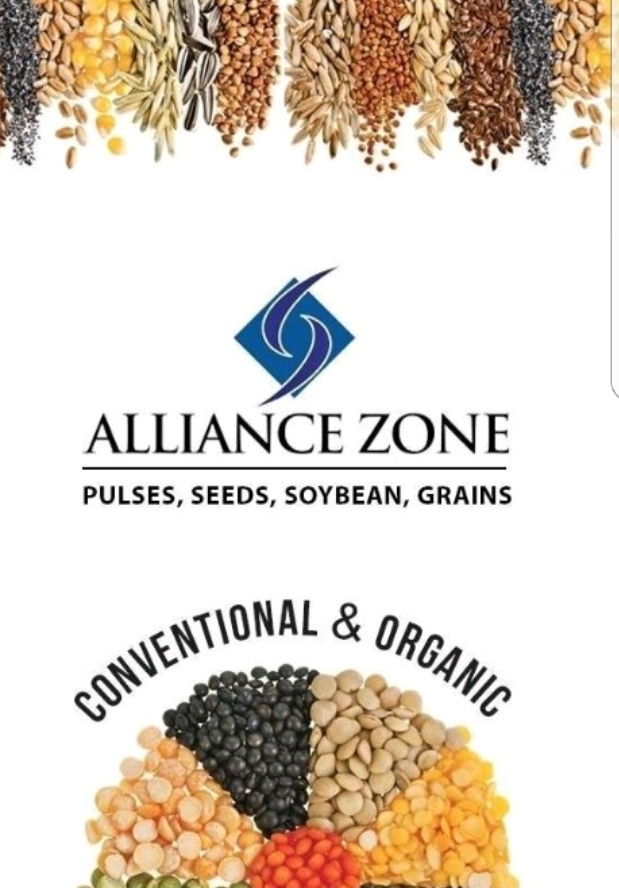 Alliance Zone Inc. | 370 Bd Nobert suite 260, Longueuil, QC J4J 2Z3, Canada | Phone: (450) 999-0025