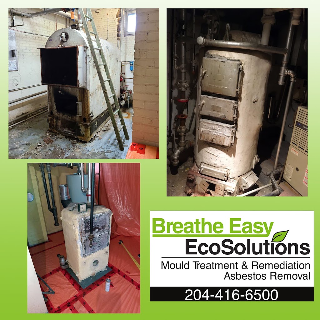 Breathe Easy Eco Solutions | 380 Dupuy Ave, Winnipeg, MB R2J 0T4, Canada | Phone: (204) 416-6500