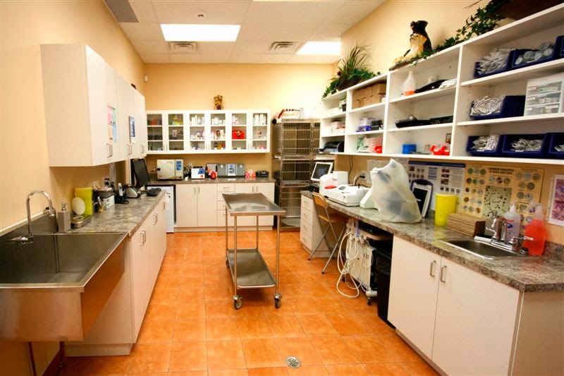 The Collegeway Animal Hospital | 2686 The Collegeway #101, Mississauga, ON L5L 2M9, Canada | Phone: (905) 828-8808