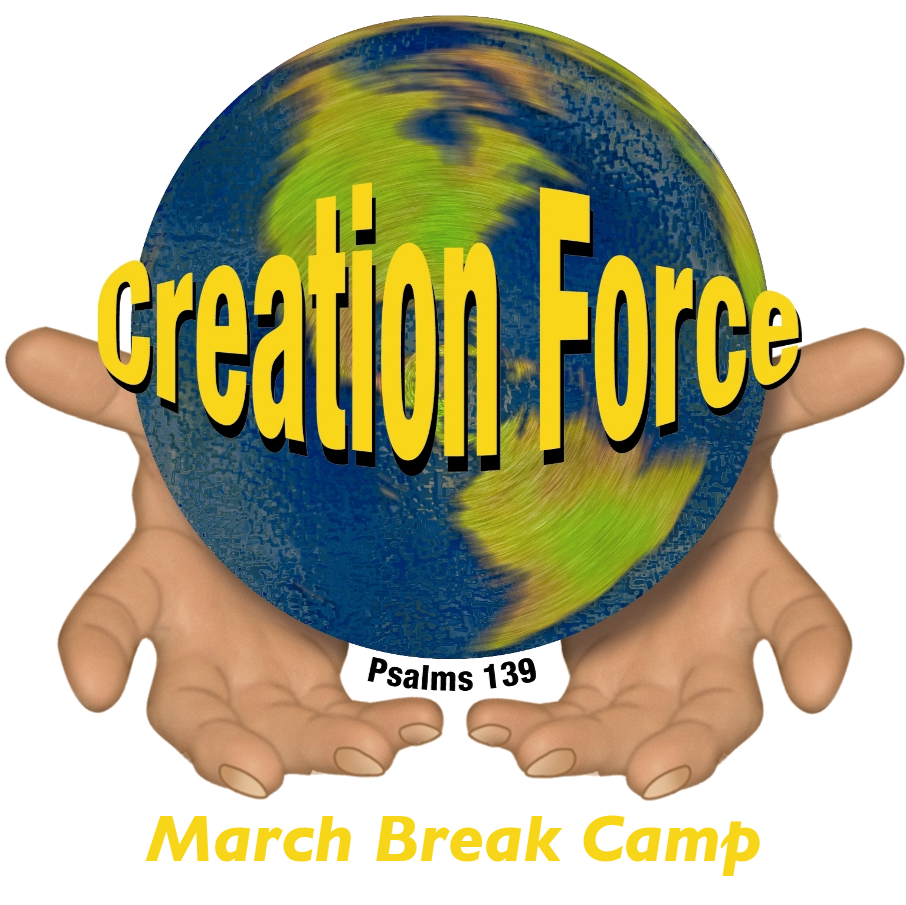 Creation Force March Break Camp | 466 Colborne St, Brantford, ON N3S 3N7, Canada | Phone: (519) 209-2814