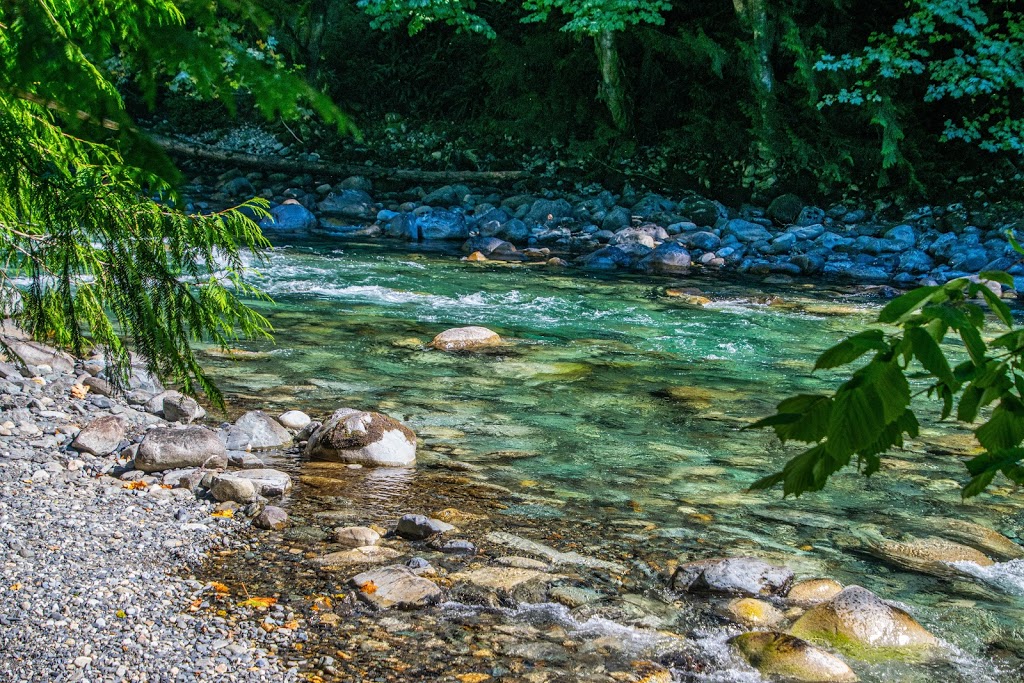 Chipmunk Peninsula Campground | Fraser Valley E, BC V0X 1X0, Canada | Phone: (604) 824-0576