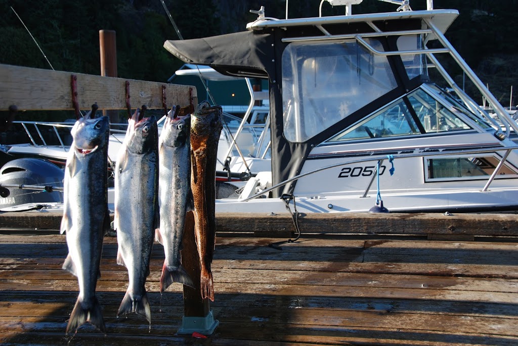 BC Fishing Charters | 3720 Ocean Grove Rd, Campbell River, BC V9W 1E8, Canada | Phone: (250) 830-7885