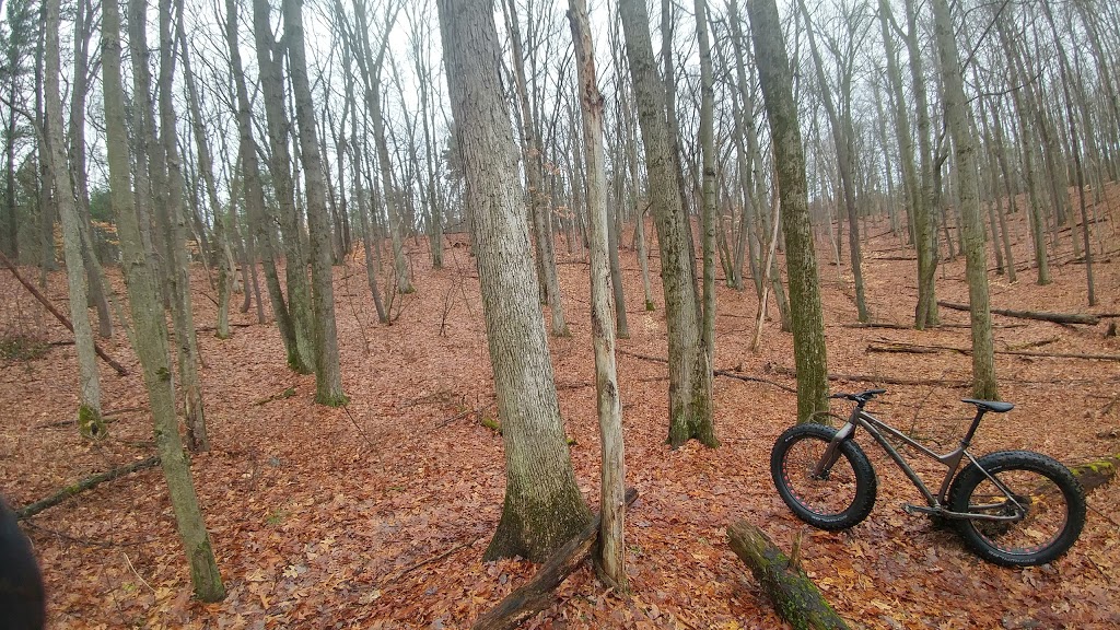 Spooky Hollow Nature Sanctuary | 293 Spooky Hollow Rd, Vittoria, ON N0E 1W0, Canada