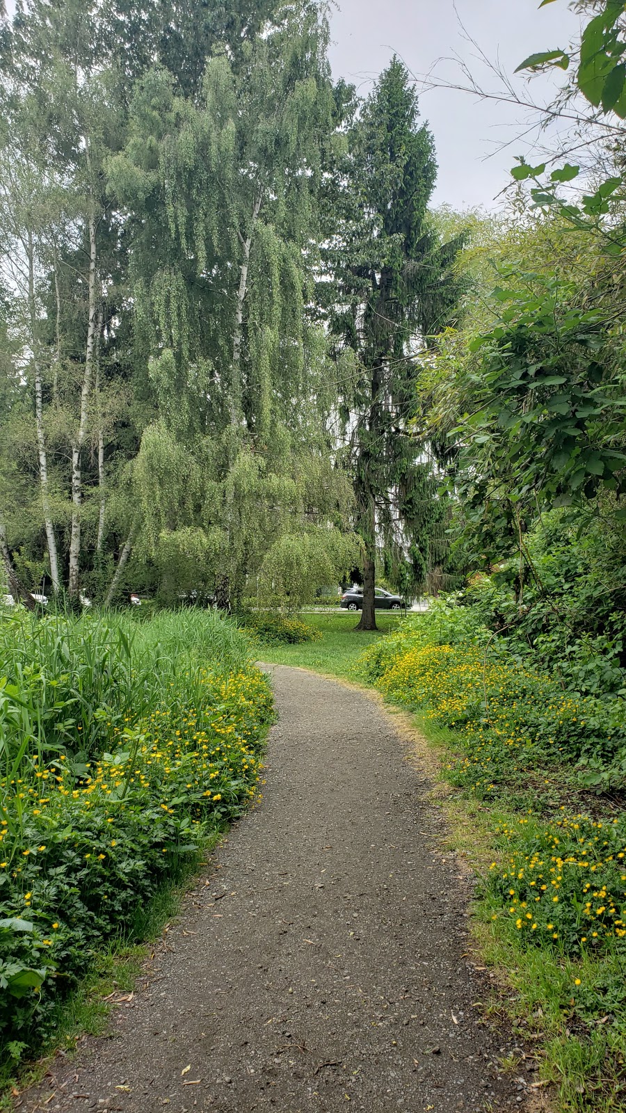 Garden City Community Park and Arboretum | 6620 Garden City Rd, Richmond, BC V6Y 1T6, Canada | Phone: (604) 276-4000