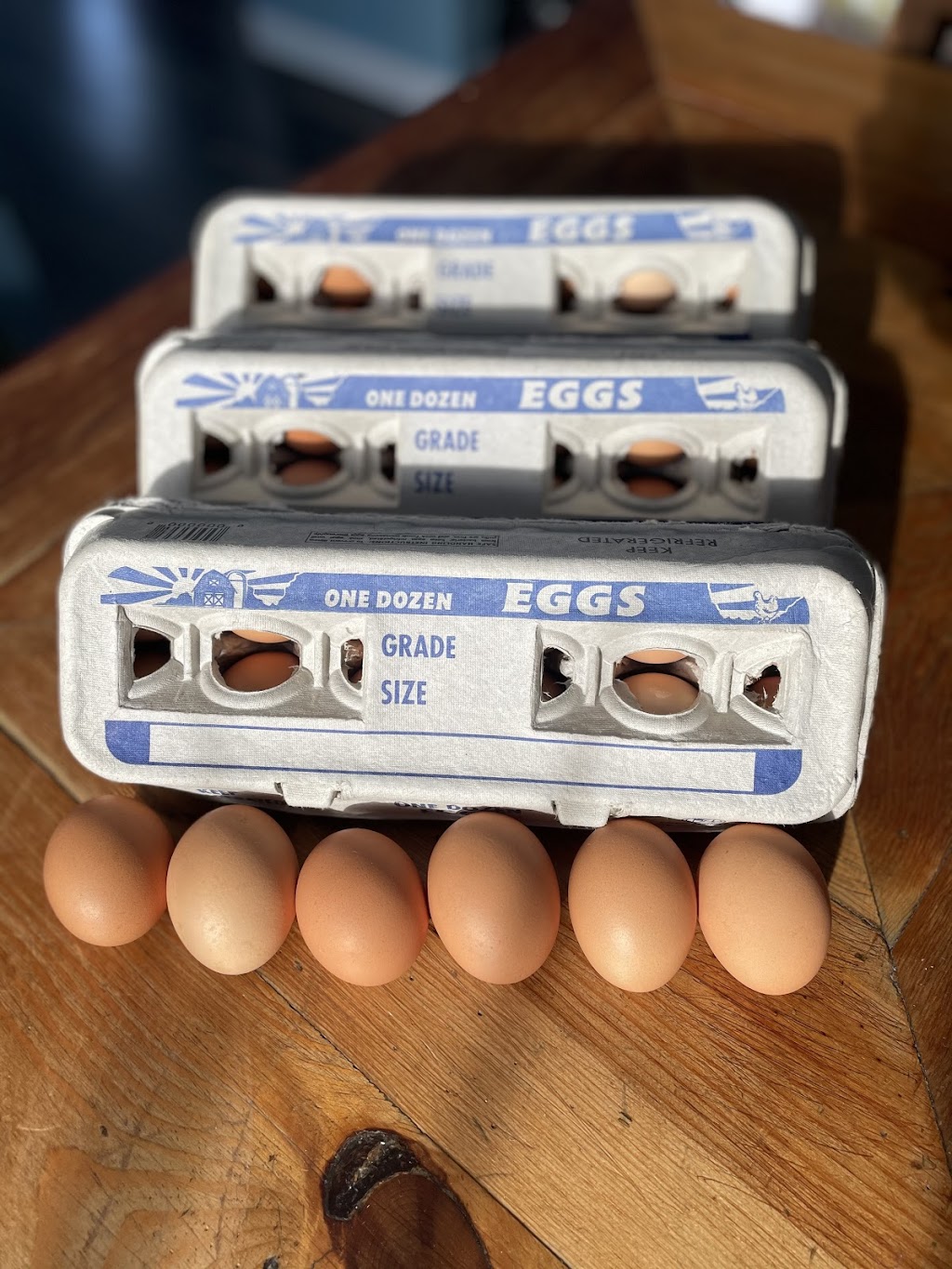 Foothills Fresh Farm Eggs | 226063 96 St W, De Winton, AB T0L 0V1, Canada | Phone: (403) 619-5882