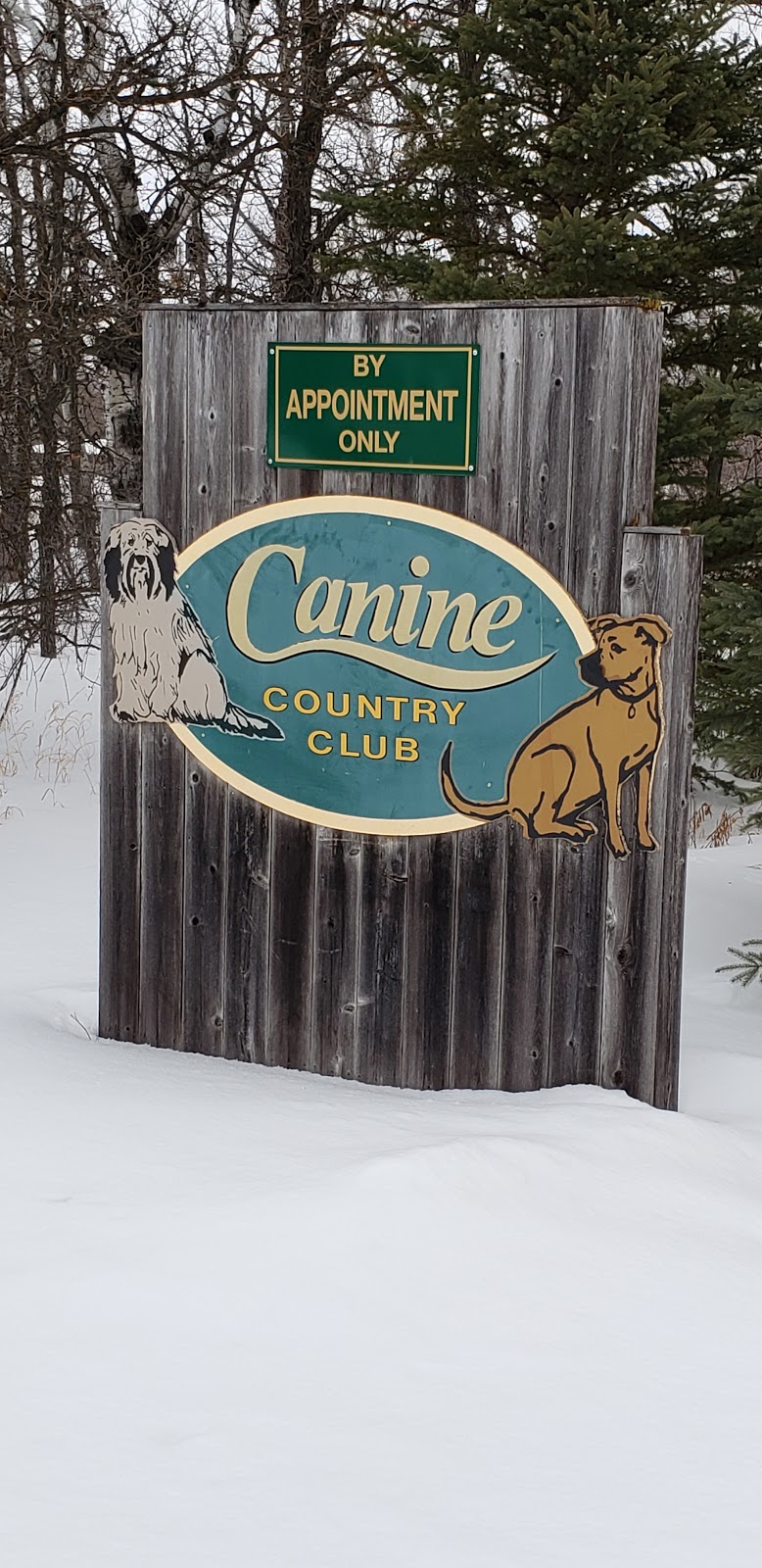 Canine Country Club | 59133 Pleasant Rd 38E, Anola, MB R0E 0A0, Canada | Phone: (204) 866-7387