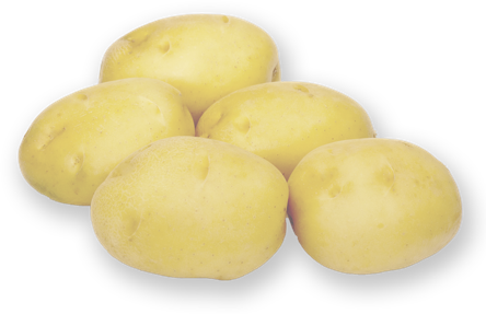 Real Potatoes Ltd | 614 Capital Dr, Cornwall, PE C0A 1H8, Canada | Phone: (902) 368-2669