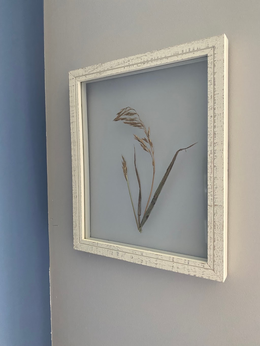 Bouquet & Frame | 218 Fifth Ave, Ottawa, ON K1S 2N2, Canada | Phone: (613) 316-2576