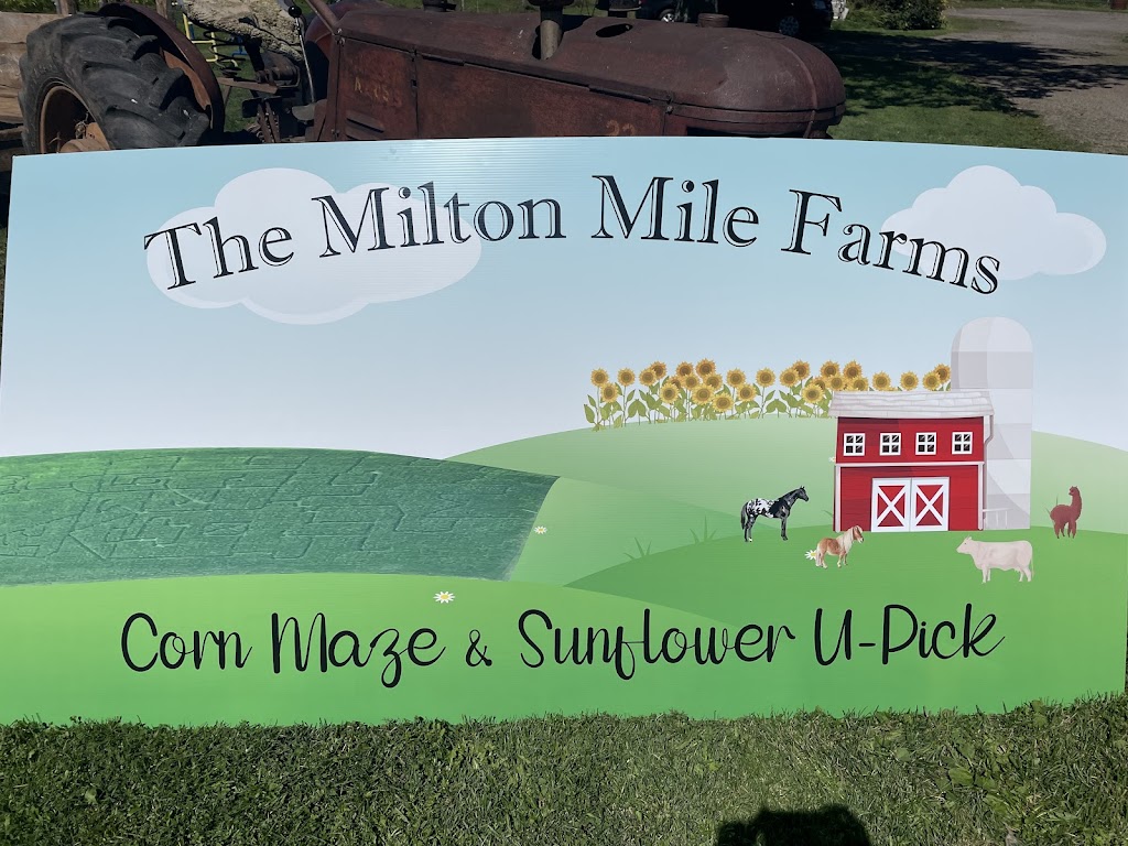 The Milton Mile Farms | 800 Dawson Rd, Dawson Settlement, NB E4H 2A2, Canada | Phone: (506) 803-9009