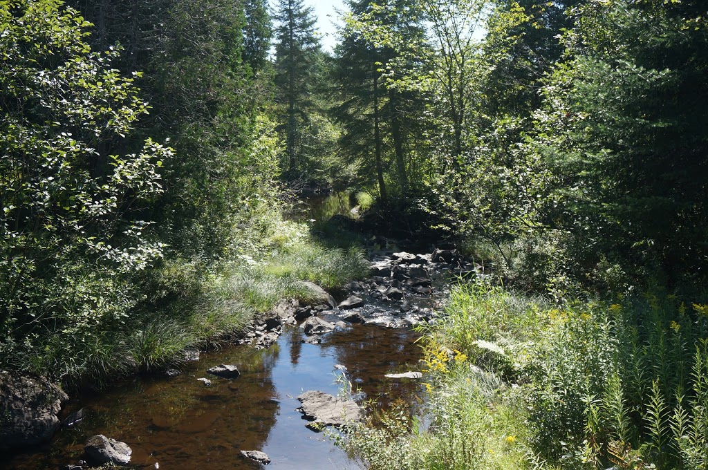 Secteur du Lac-Stukely - Parc National du Mont-Orford | 200 Chemin du Camping, Orford, QC J1X 7A2, Canada | Phone: (819) 843-9855