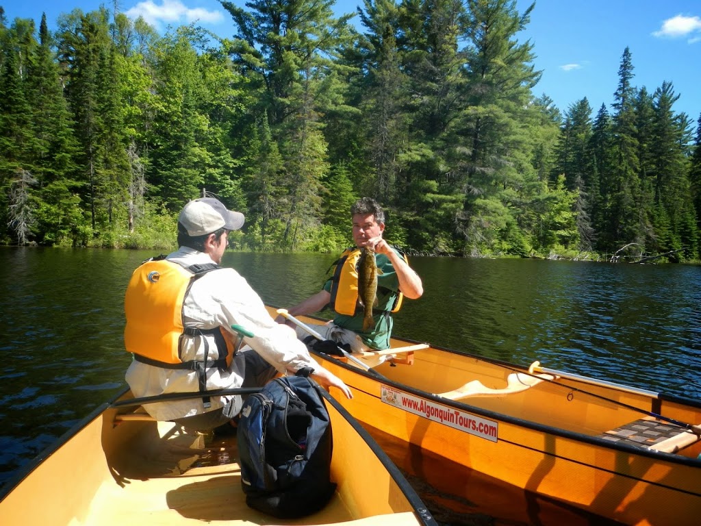 Algonquin Park Adventure Tours | 1023 Cooper Lake Rd, Dwight, ON P0A 1H0, Canada | Phone: (705) 783-7566