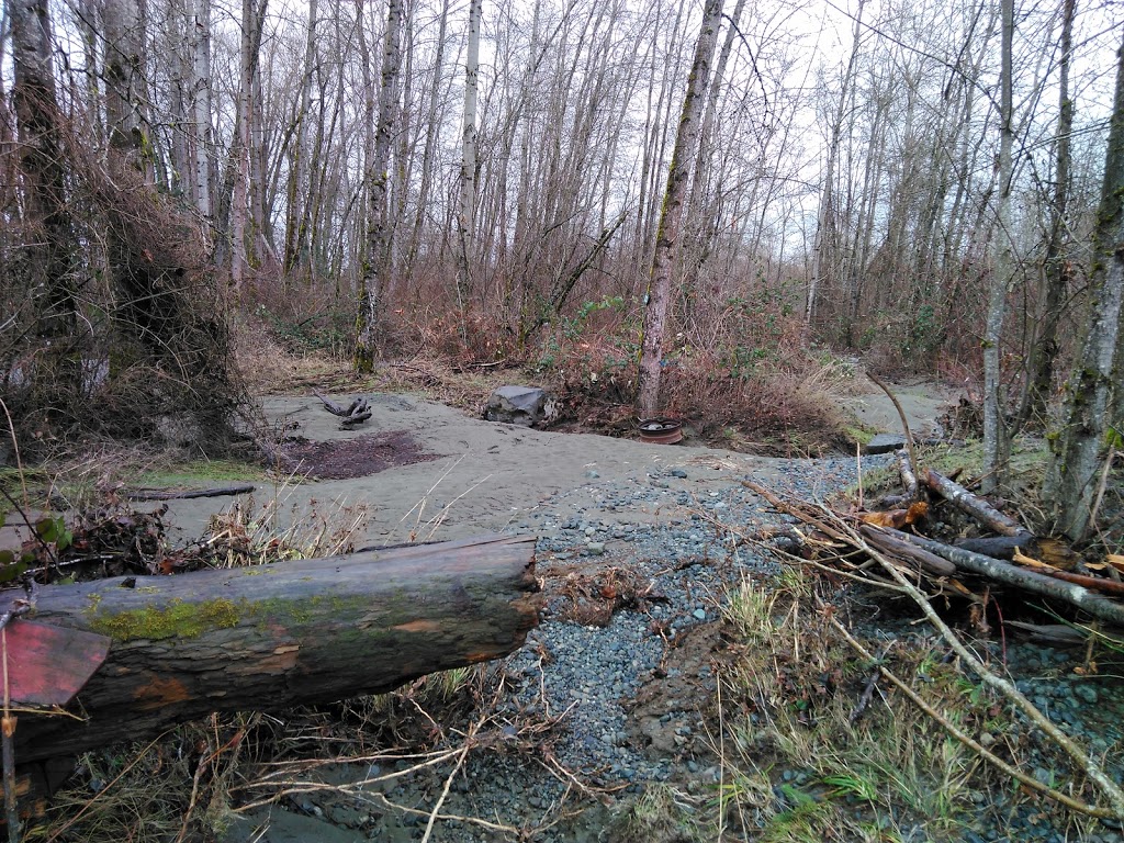 Bald Eagle Campground-Rv Sites | 8705 Chemainus Rd, Chemainus, BC V0R 1K5, Canada | Phone: (250) 246-9457