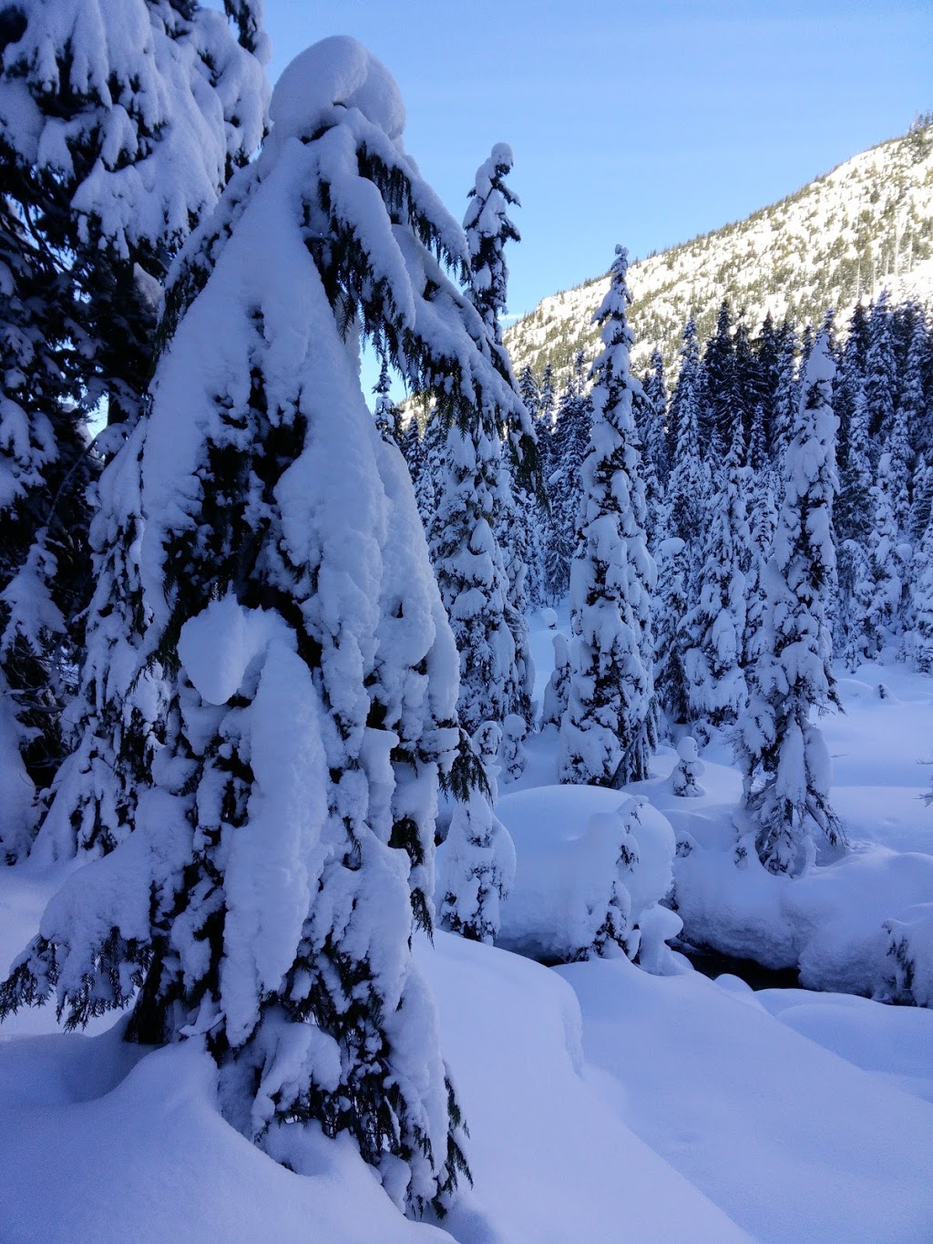 Watersprite Lake | Squamish-Lillooet D, BC V0N 1J0, Canada