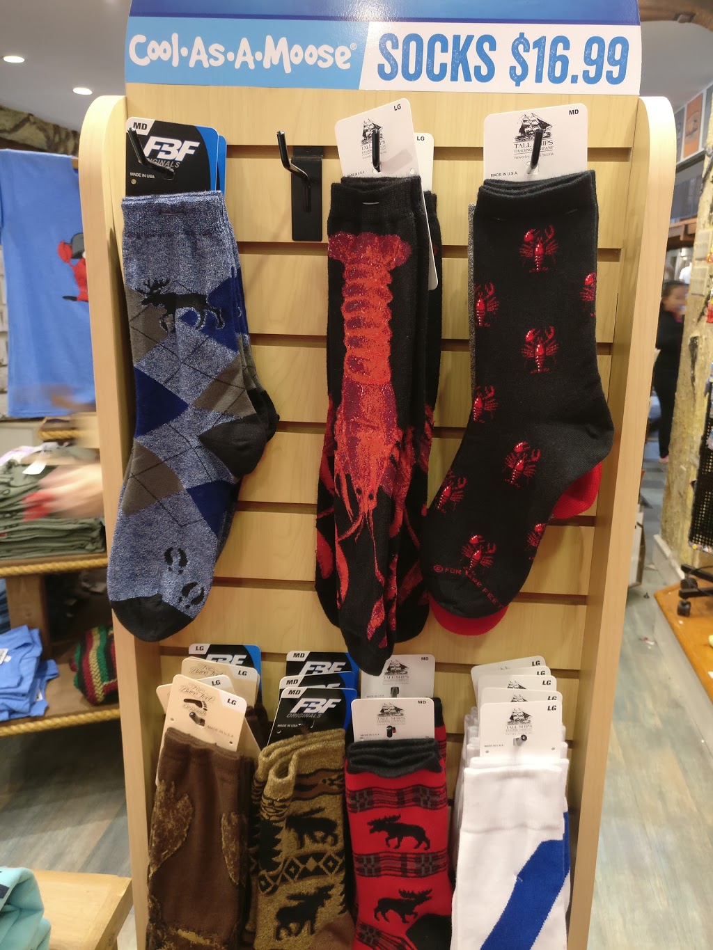 Cool As A Moose | 1869 Upper Water St, Halifax, NS B3J 1S9, Canada | Phone: (902) 423-5168