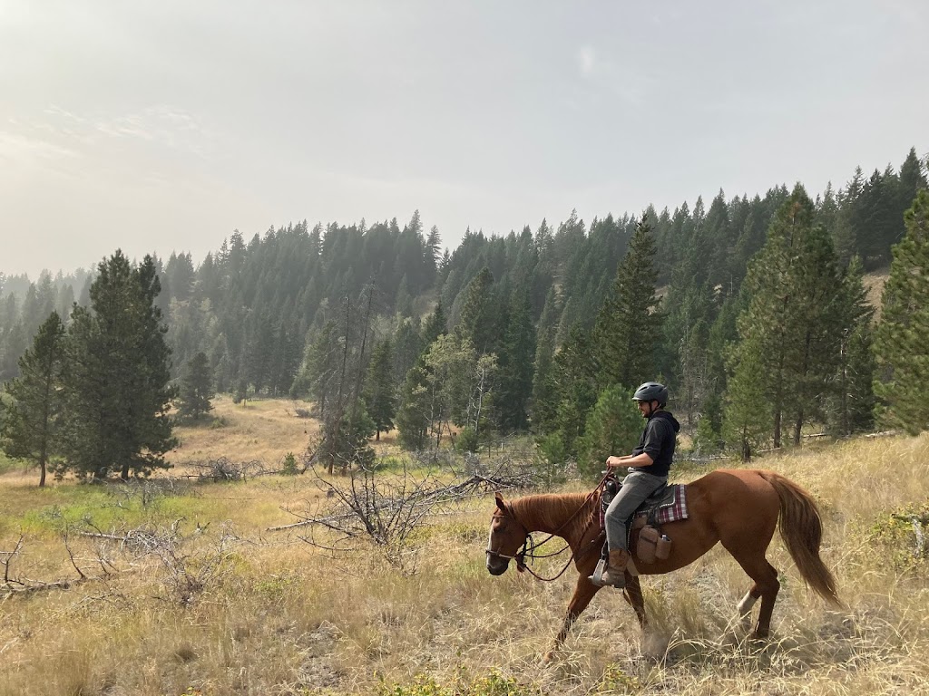 Inspire horsemanship | 9611 BC-97C, Merritt, BC V1K 1M6, Canada | Phone: (250) 574-1498