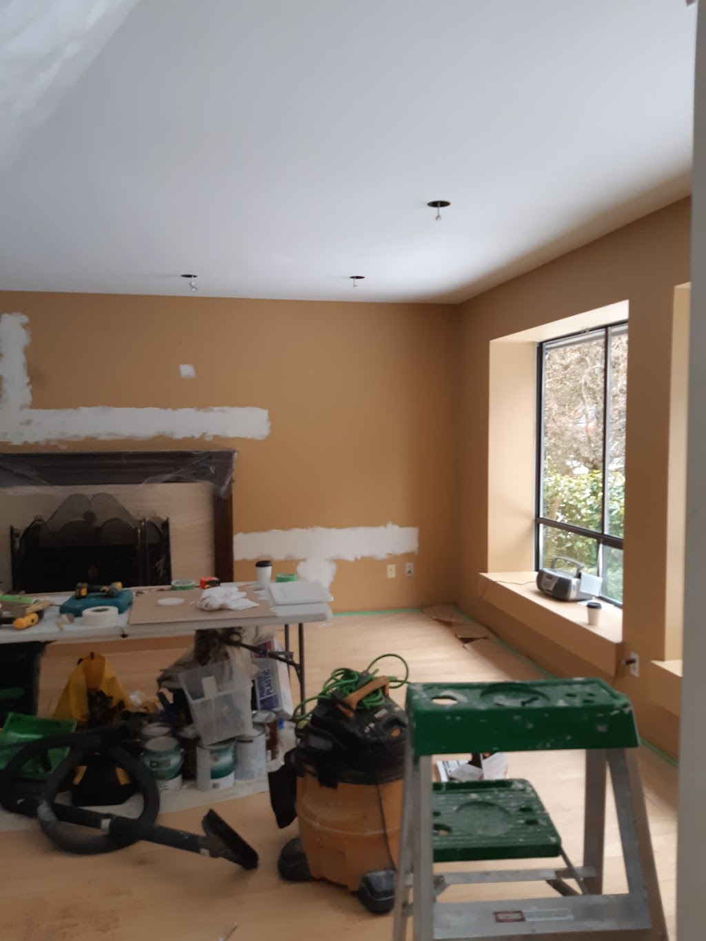 Fine Home Painting | 1420 E 49th Ave, Vancouver, BC V5P 1S3, Canada | Phone: (778) 706-0496