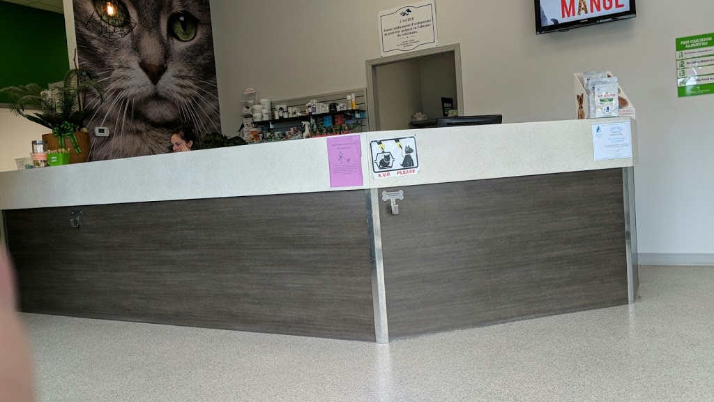 Clinique Veterinaire St-Rymnd | 734 Rue Saint Joseph, Saint-Raymond, QC G3L 1M5, Canada | Phone: (418) 337-8140