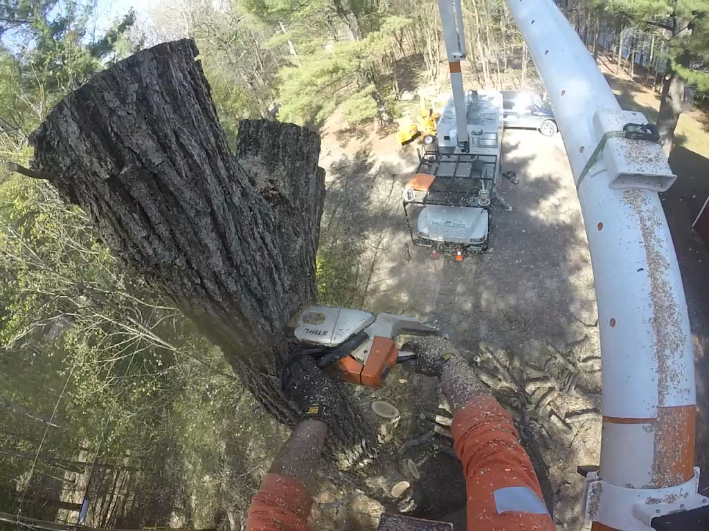 Hanet Tree Service | Frizell Rd, Perth, ON K7H 3C7, Canada | Phone: (613) 812-1736