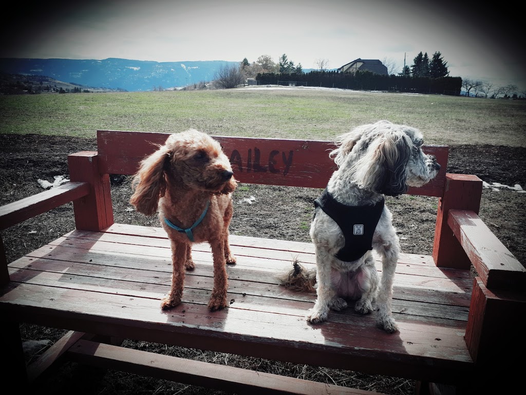 Mutrie Dog Park | 3985 Mutrie Rd, Vernon, BC V1T 9C8, Canada