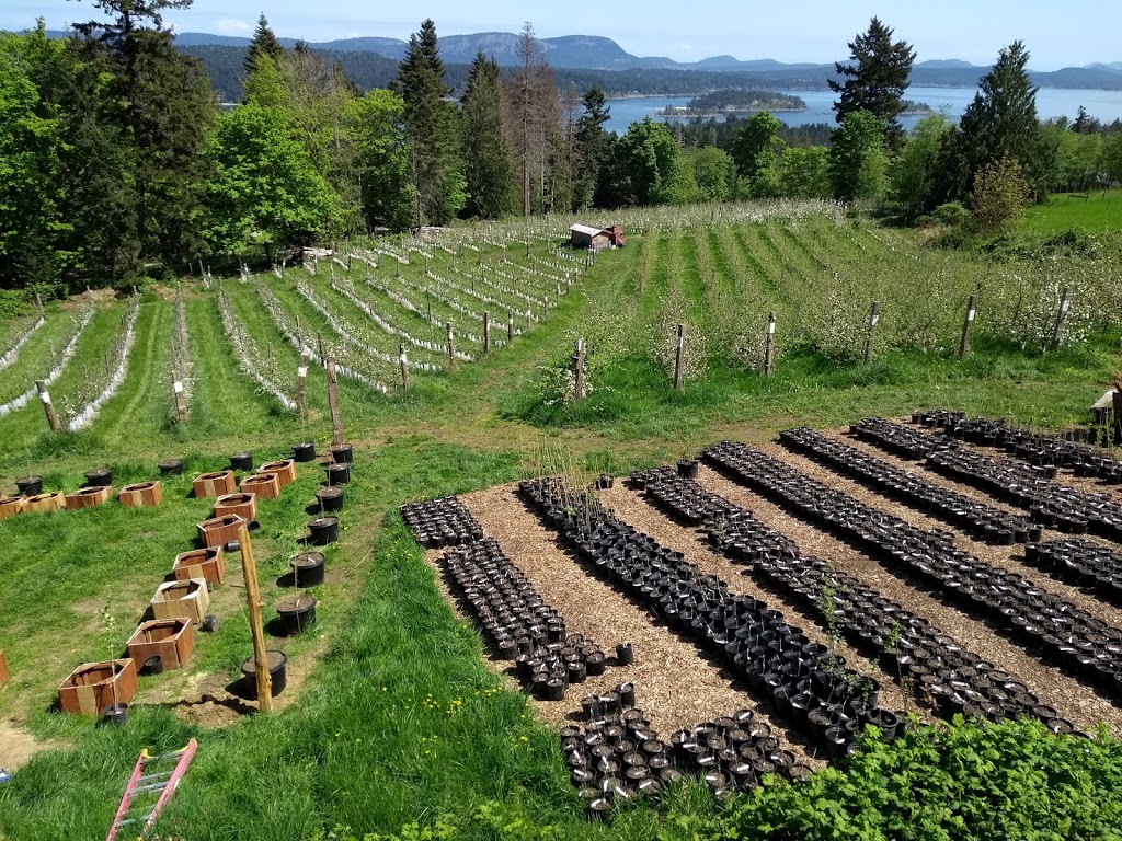 Salt Spring Apple Company | 529 Fulford-Ganges Rd, Salt Spring Island, BC V8K 2K1, Canada | Phone: (250) 538-2197