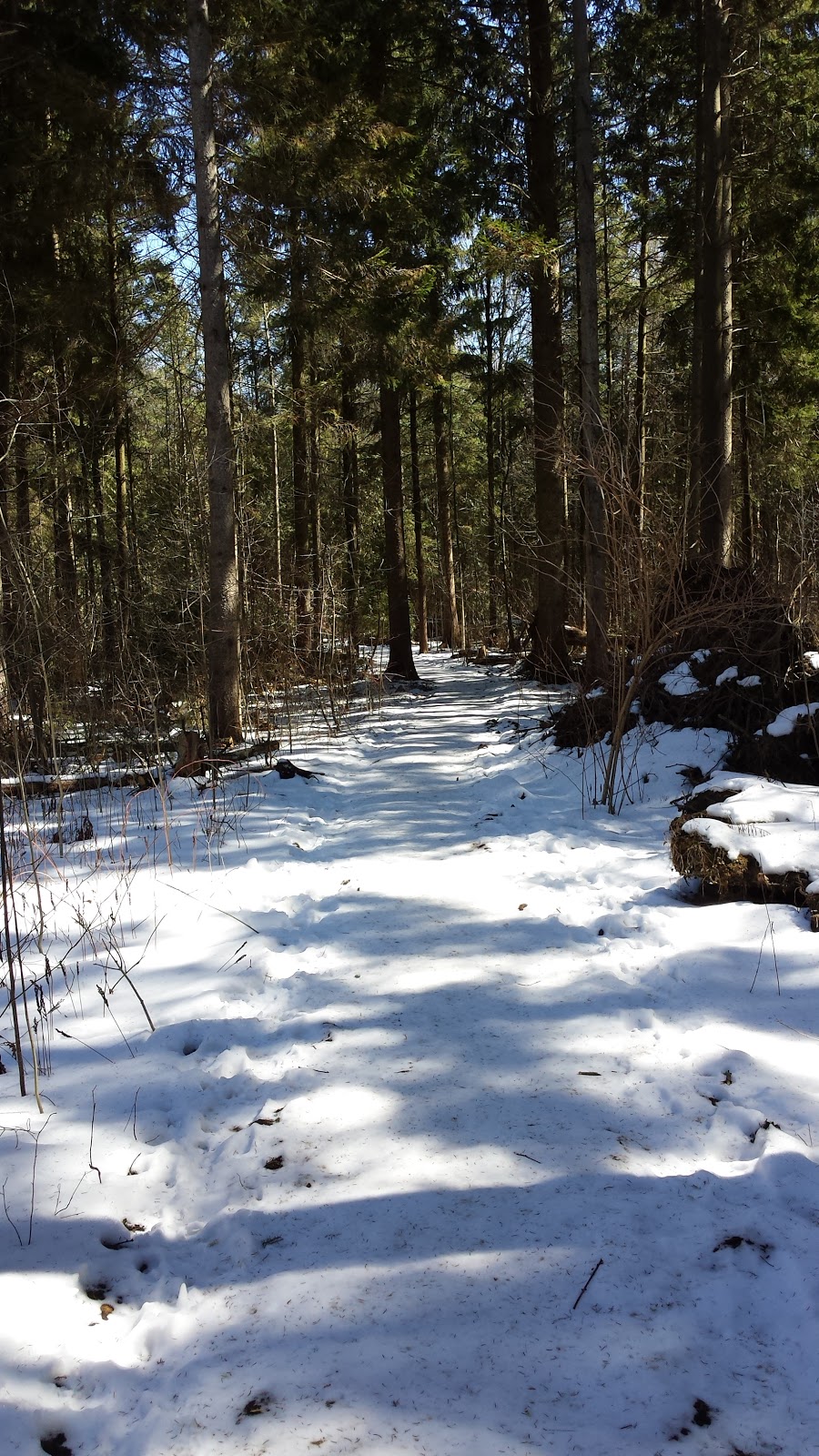 Naftels Creek Conservation Area | 79154 Bluewater Hwy, Goderich, ON N7A 3X8, Canada