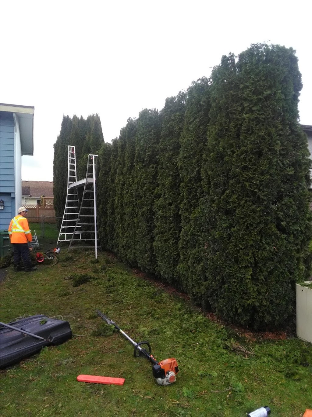 Agassiz Hedge & Tree Service | 2894 Cameron Rd, Agassiz, BC V0M 1A0, Canada | Phone: (604) 703-3934