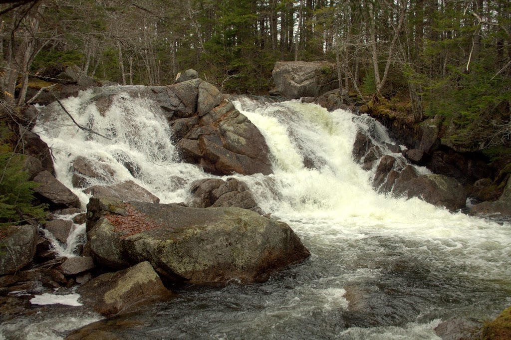 Pockwock Falls Trailhead | 1366 Pockwock Rd, Upper Hammonds Plains, NS B4B 1P2, Canada