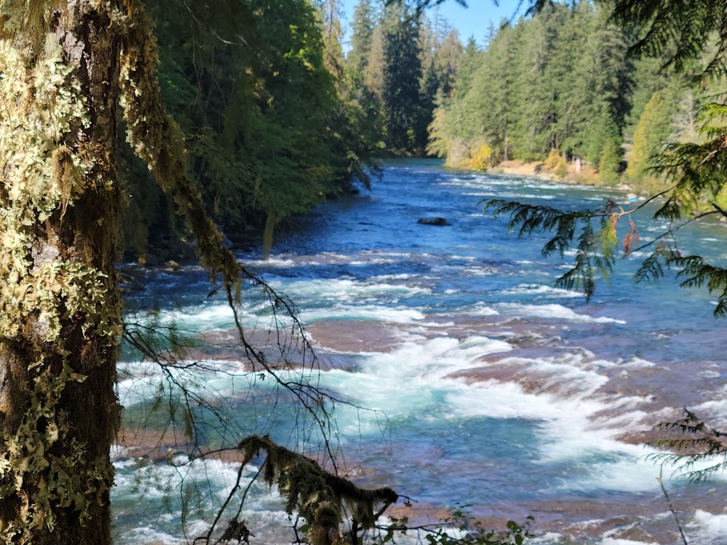 Stamp River Provincial Park | Beaver Creek Rd, Port Alberni, BC, Canada | Phone: (250) 474-1336