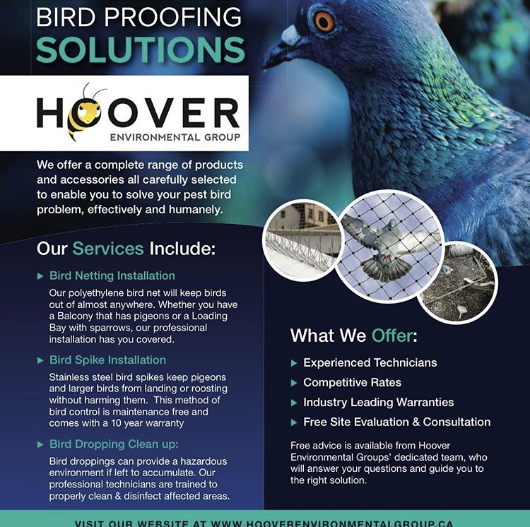 Hoover Environmental Group - Pest Control & Wildlife Removal | 21201 Main St, Caledon, ON L7K 1R6, Canada | Phone: (289) 829-2129