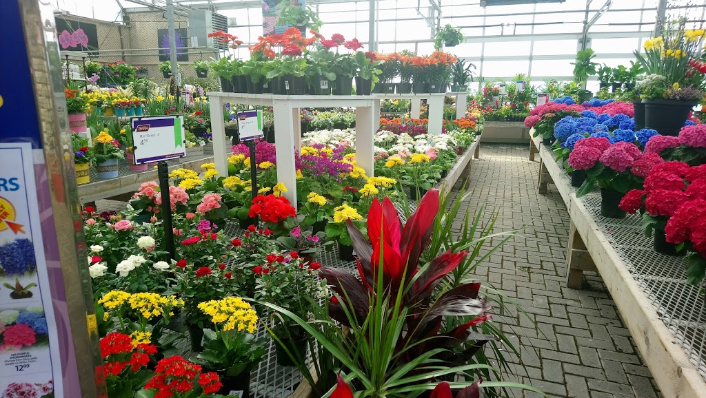 Terra Greenhouses Vaughan | 11800 Keele St, Maple, ON L6A 1S1, Canada | Phone: (905) 832-6955