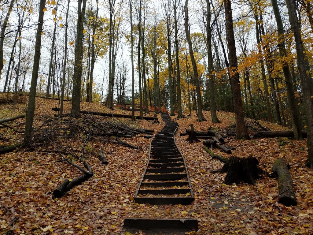 Thornton Bales Conservation Area | 19th Sideroad, King, ON L7B 1K5, Canada | Phone: (905) 895-1281