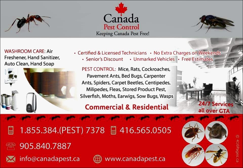 Canada Pest Control | Tinsmith St, Brampton, ON L7A 1N3, Canada | Phone: (416) 565-0505