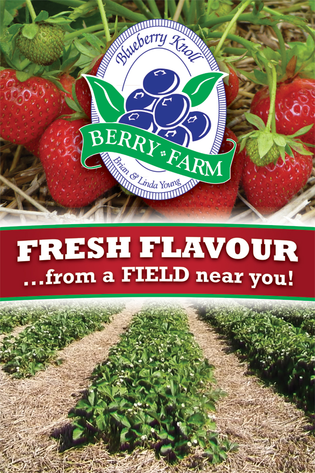 Blueberry Knoll Berry Farm | 1091 Hutchinson Rd, Lowbanks, ON N0A 1K0, Canada | Phone: (905) 774-7732