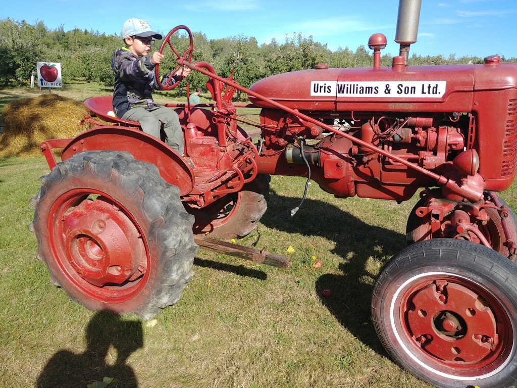 Uris Williams & Sons Ltd | 875 Chemin Murray, Saint-Antoine, NB E4V 2Y3, Canada | Phone: (506) 525-2376