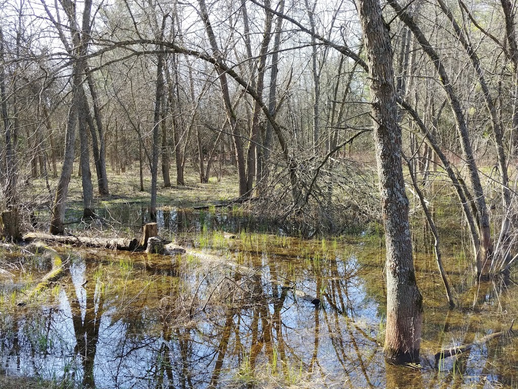 Luther Marsh Wildlife Management Area | 034588 21 Side Road, Grand Valley, ON L9W 0H2, Canada | Phone: (519) 928-2832