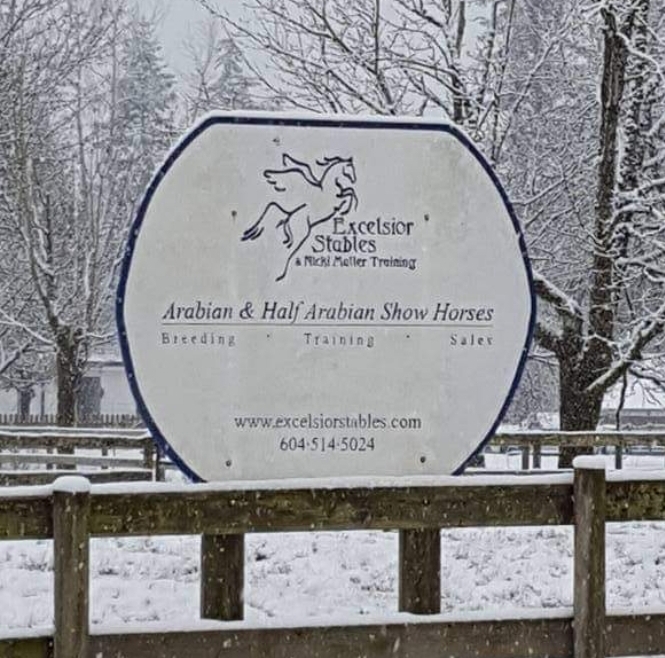 Excelsior Stables & Nicki Muller Training | 6325 226 St, Langley Twp, BC V2Y 2L4, Canada | Phone: (604) 825-0903