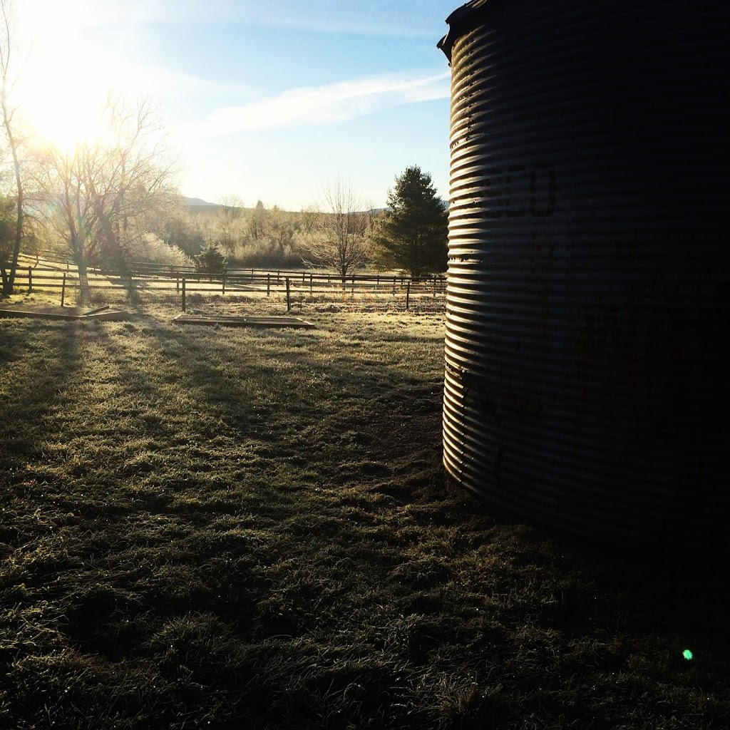 Ferme Patch | 328 Chemin Stagecoach, Brome, QC J0E 1K0, Canada | Phone: (450) 775-8698