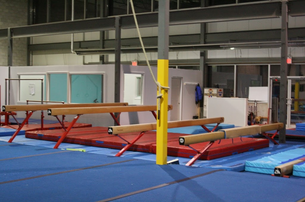 Head Over Heels Gymnastics Club | 95 Sandford Fleming Dr, Collingwood, ON L9Y 5A6, Canada | Phone: (705) 445-5554