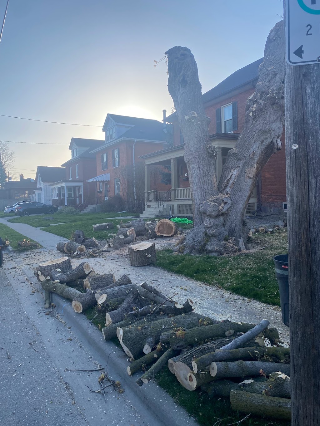 Aftermath Tree Care North Durham | 8795 Baldwin St N, Whitby, ON L0B 1A0, Canada | Phone: (647) 771-8733