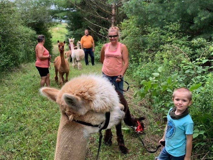 Stoneleigh Farm Alpacas | 9556 Charlton Dr, Denfield, ON N0M 1P0, Canada | Phone: (647) 654-1451