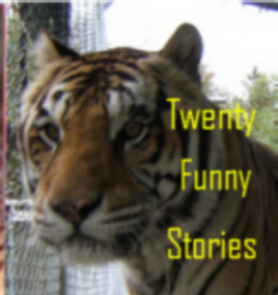 Twenty Funny Stories | 2059 E Smith Rd, Bellingham, WA 98226, USA