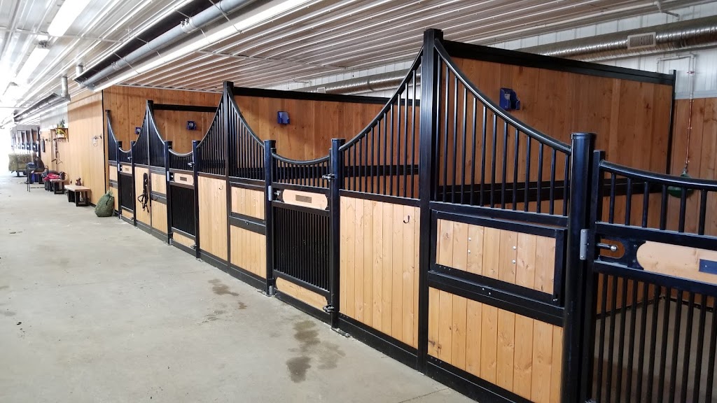 Solaris Equestrian | 26113 Township Rd 514, Spruce Grove, AB T7Y 1B5, Canada | Phone: (780) 544-5867