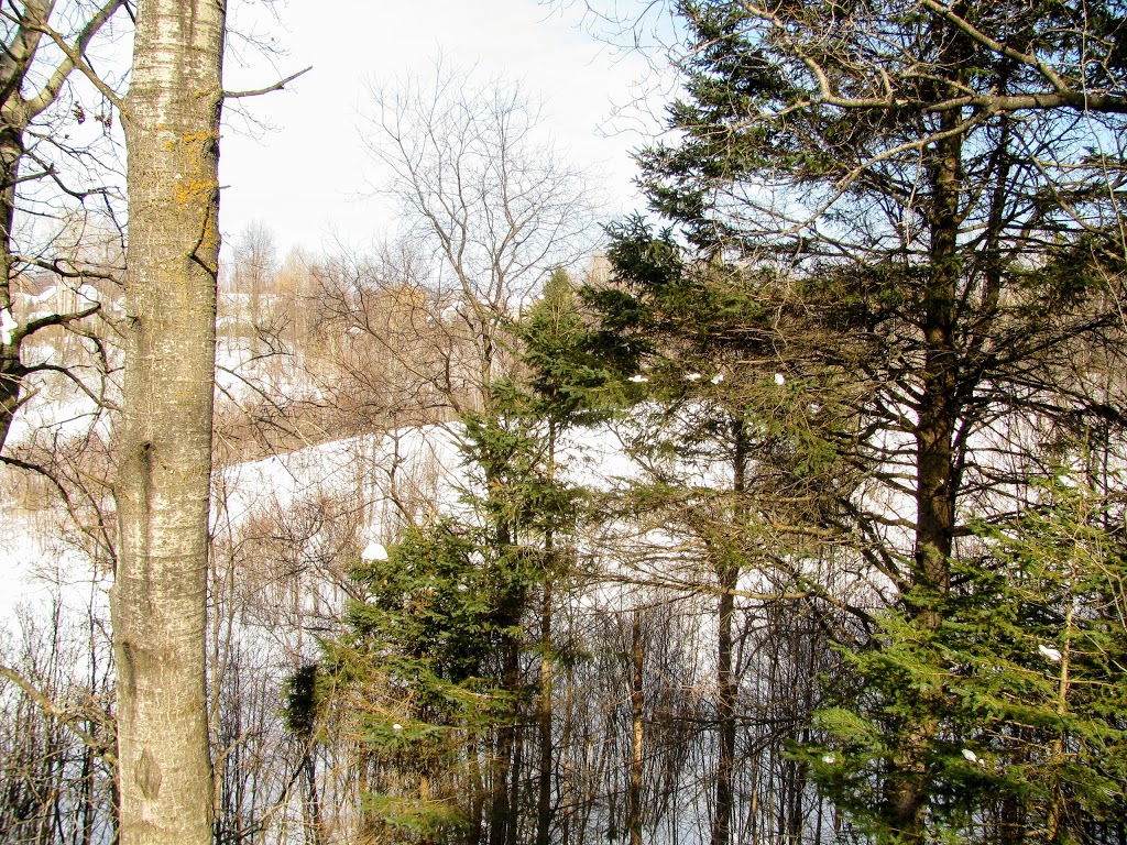 Parc de la Coulée | Rue du Clos Toumalin, Prévost, QC J0R 1T0, Canada