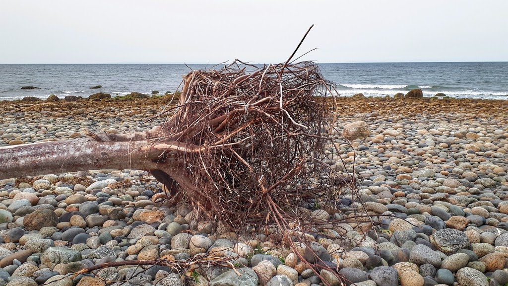 Bonniebrook Beach | Sunshine Coast E, BC, Canada