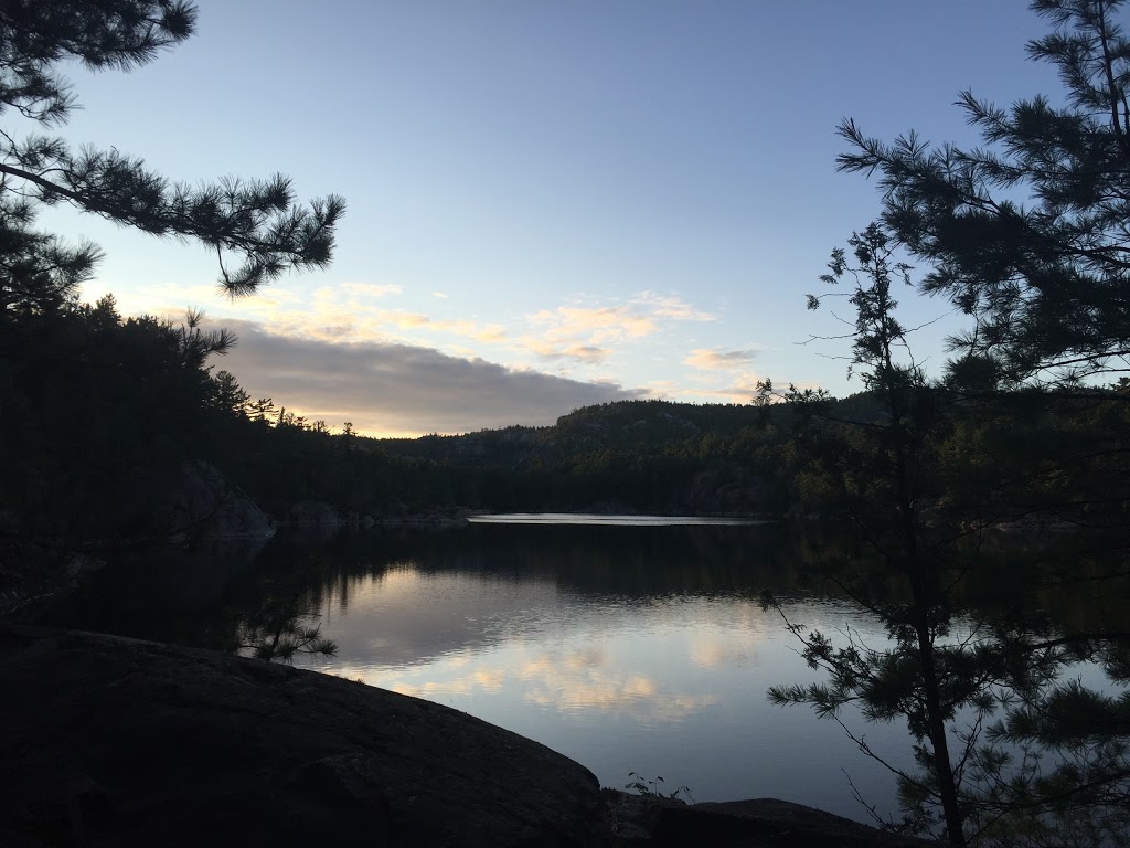 Cranberry Bog Trail | Killarney, ON P0M, Canada | Phone: (705) 287-2900