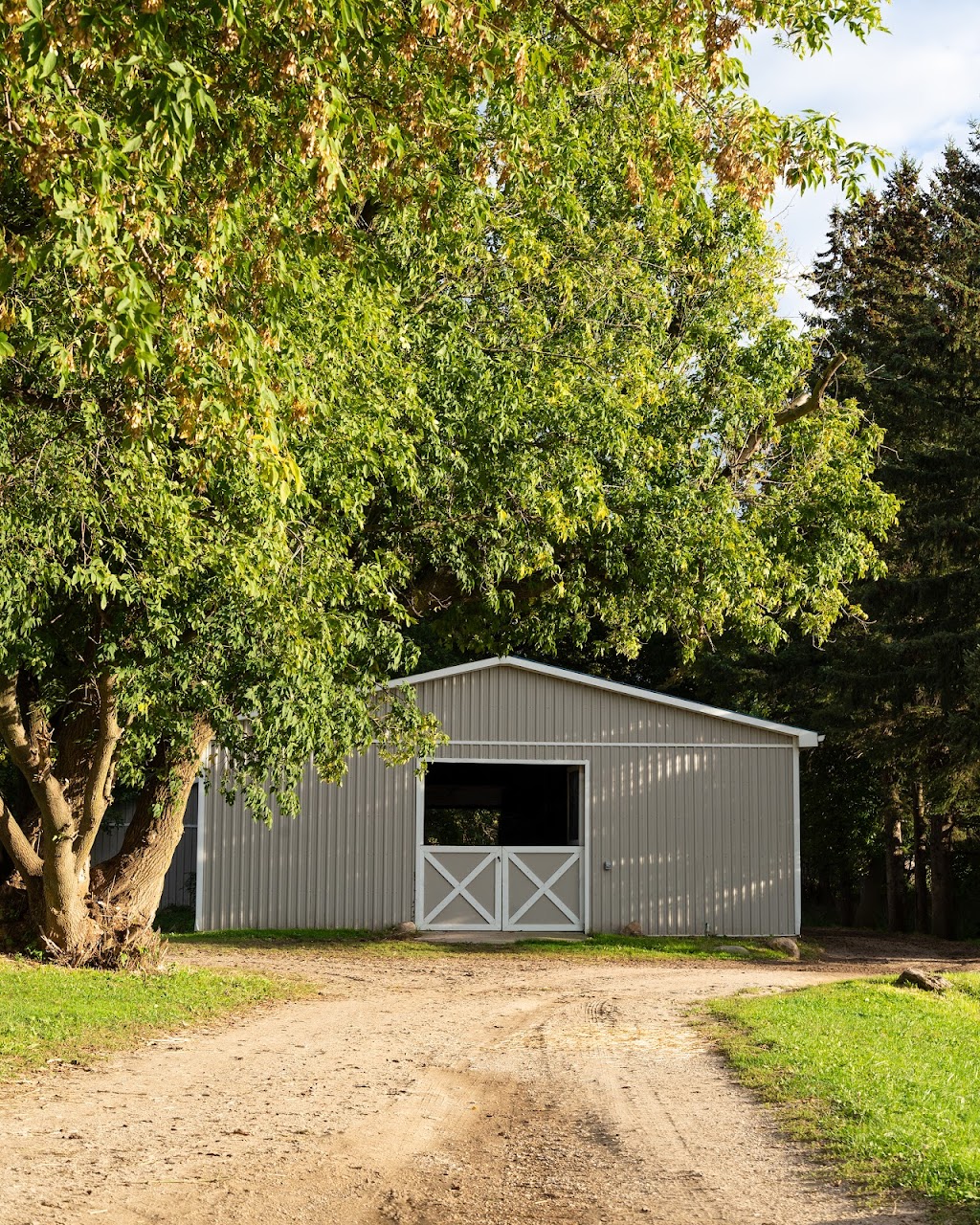 Hebel Equestrian | 629 Sawmill Rd, Bloomingdale, ON N0B 1K0, Canada | Phone: (519) 500-3394