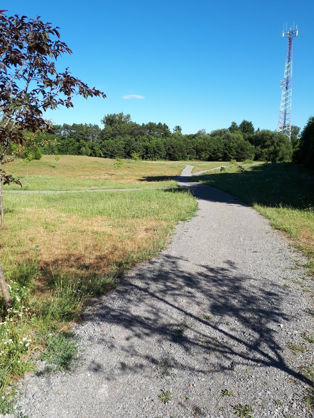 Ferguson Forest Dog Park | Honour Way, Kemptville, ON K0G 1J0, Canada